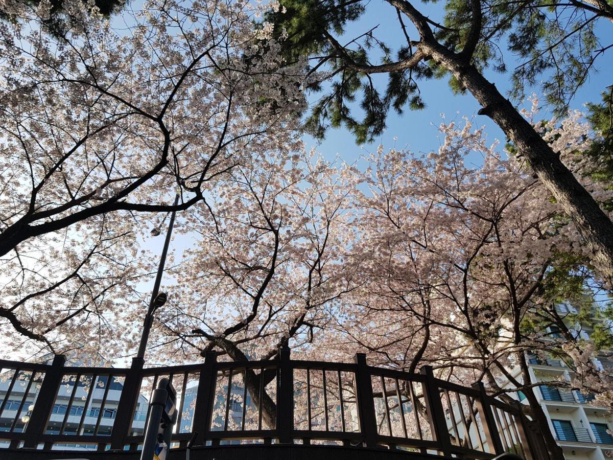 Suntree Hotel Busan Exterior foto